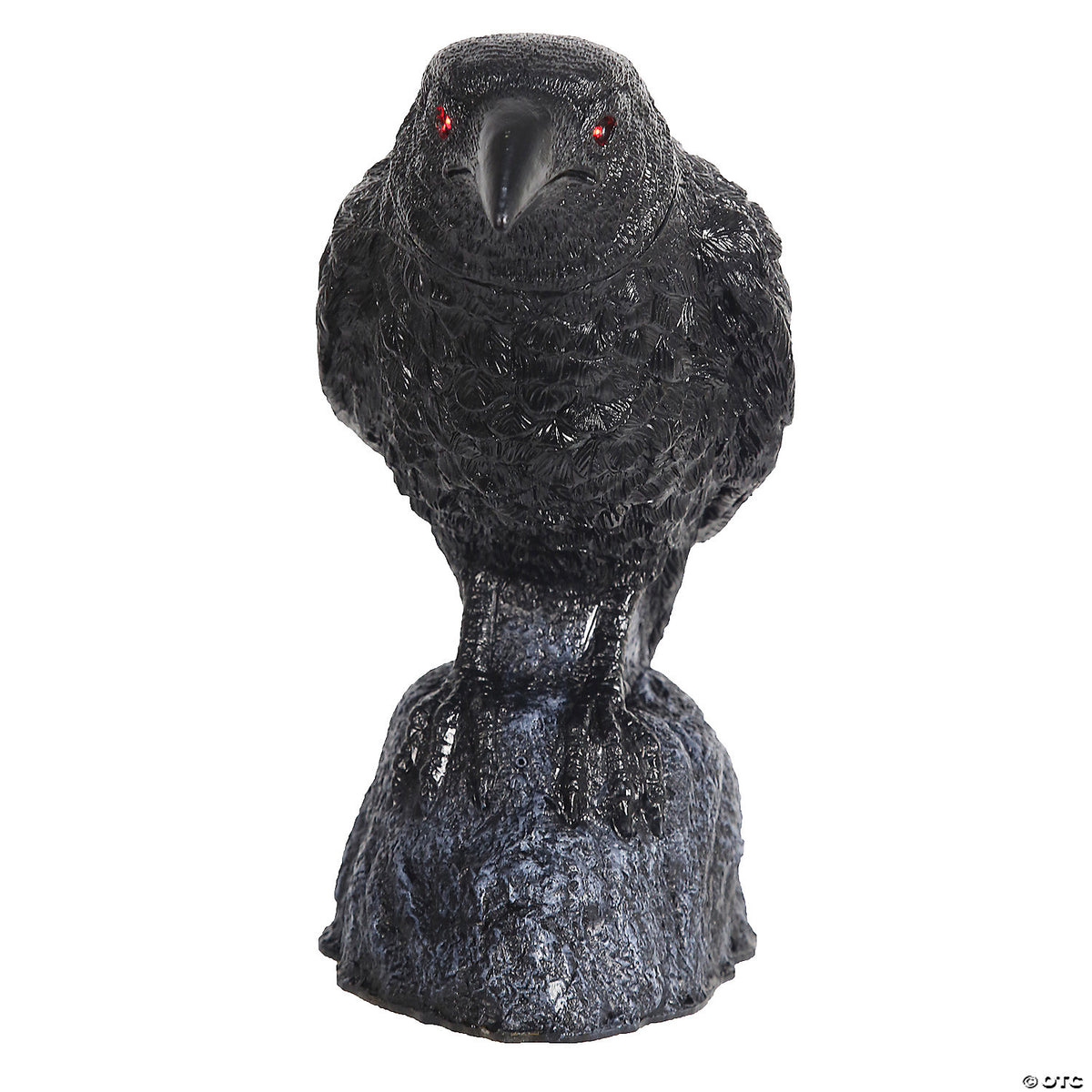 Raven Head Turning With Sound