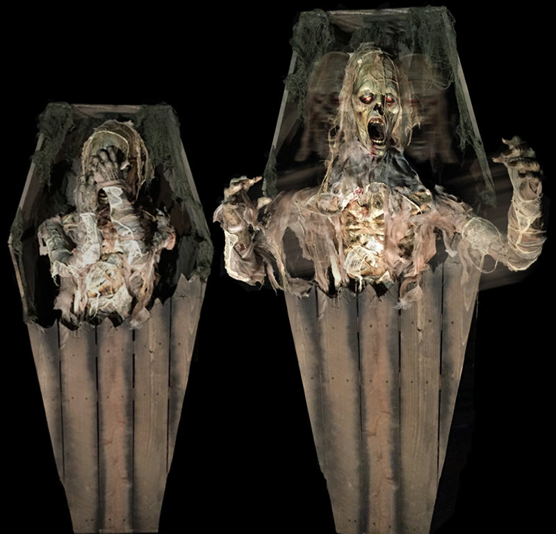  Coffin Mummy Revenge